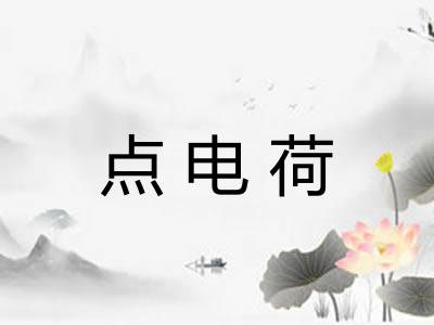 点电荷
