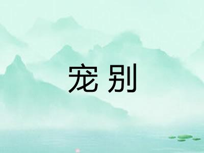 宠别