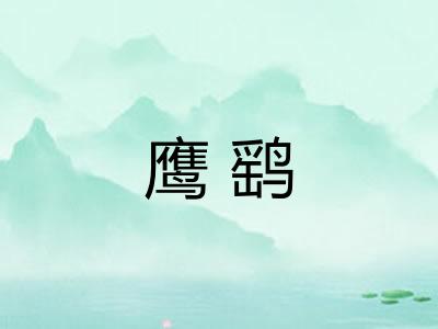 鹰鹞