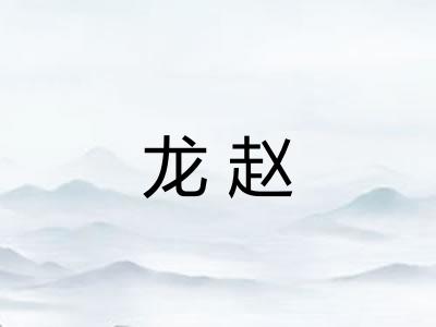 龙赵
