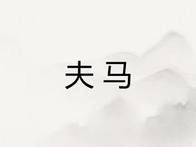 夫马 夫马