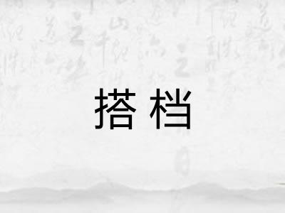 搭档 搭档