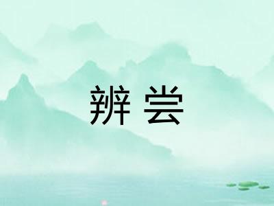 辨尝