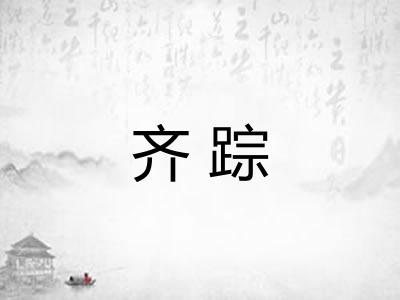 齐踪