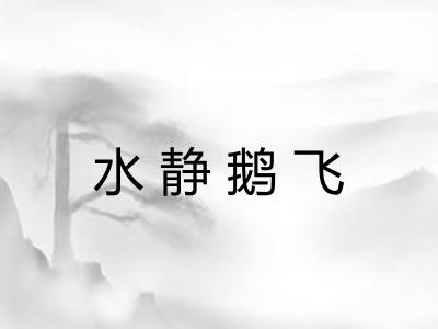 水静鹅飞