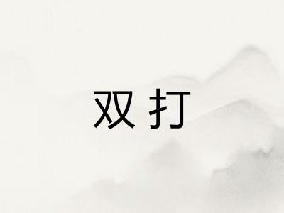 双打