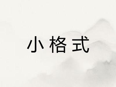 小格式