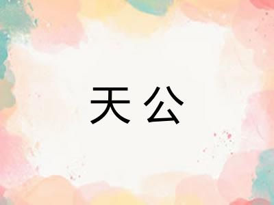 天公 天公