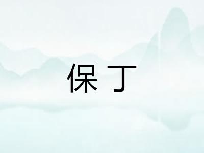 保丁 保丁