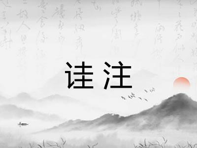 诖注