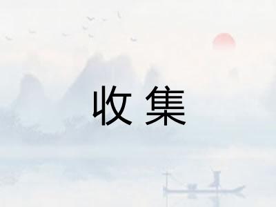 收集 收集