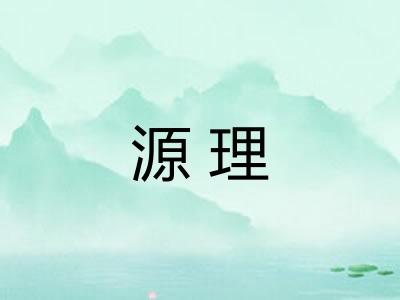 源理