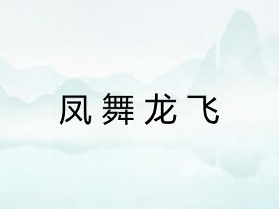 凤舞龙飞 凤舞龙飞