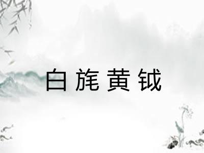 白旄黄钺 白旄黄钺