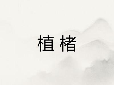 植楮