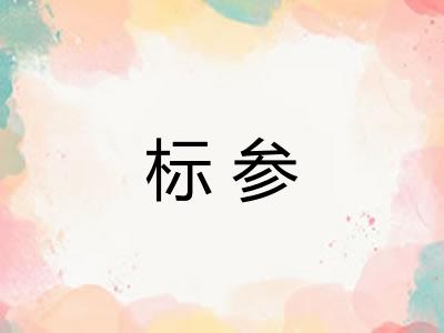 标参 标参