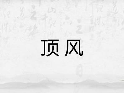 顶风 顶风