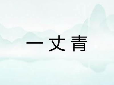 一丈青