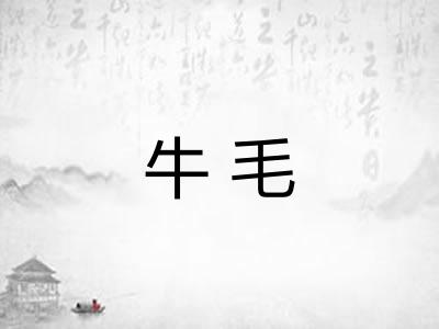 牛毛