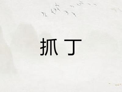 抓丁