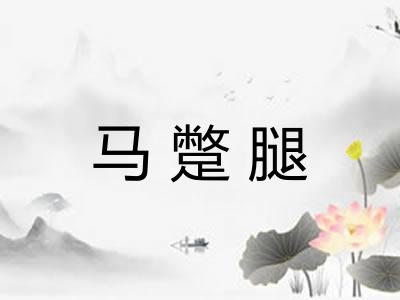 马蹩腿