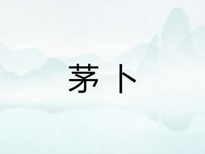 茅卜