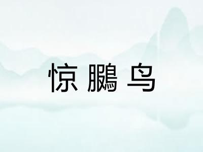 惊鵩鸟