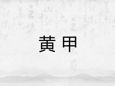 黄甲 黄甲