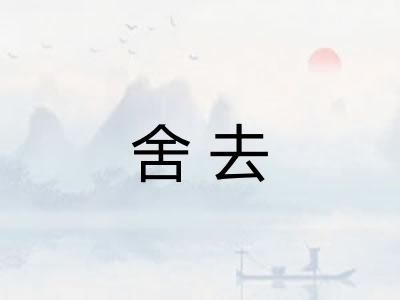 舍去 舍去