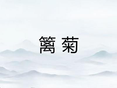 篱菊