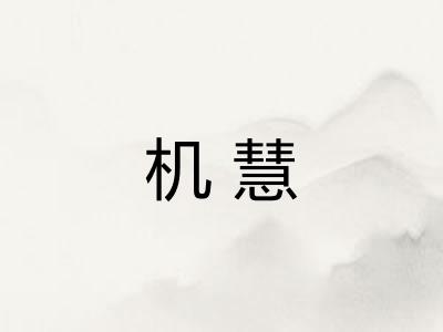 机慧 机慧