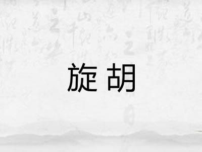旋胡