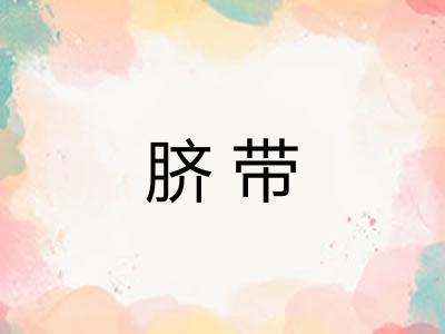脐带 脐带