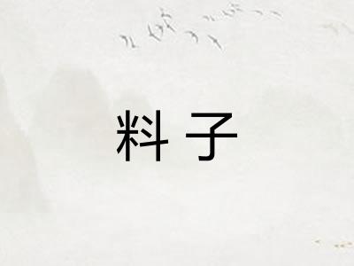 料子 料子