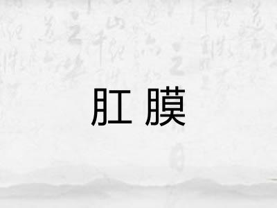 肛膜
