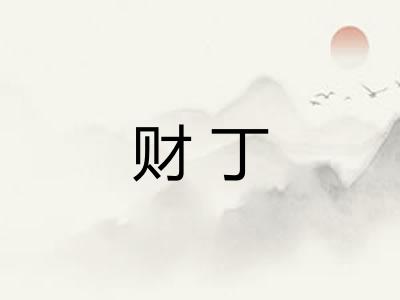 财丁