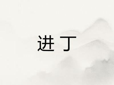 进丁