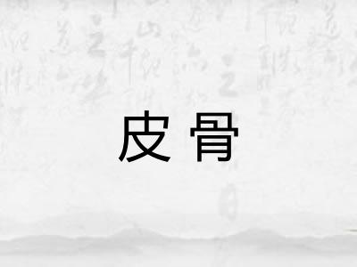 皮骨 皮骨