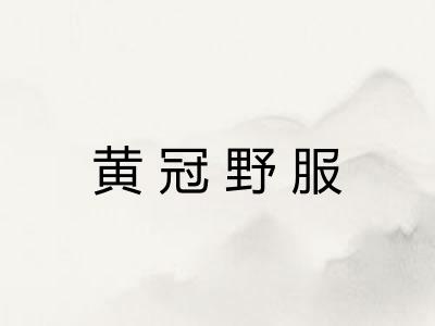黄冠野服 黄冠野服