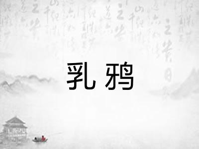 乳鸦 乳鸦