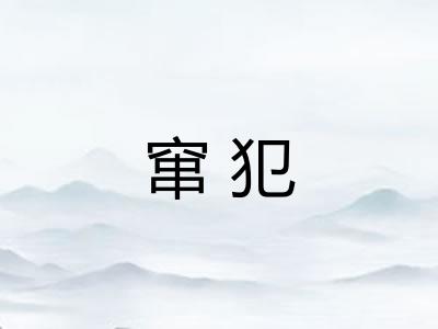 窜犯