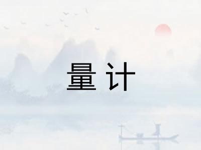 量计