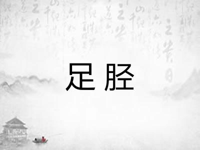 足胫