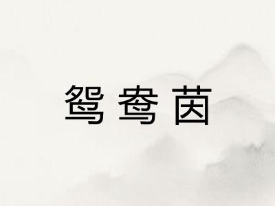 鸳鸯茵