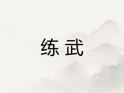 练武 练武