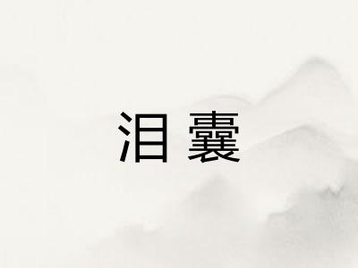 泪囊 泪囊
