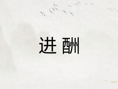 进酬