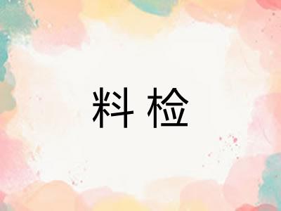 料检