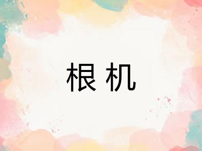 根机 根机