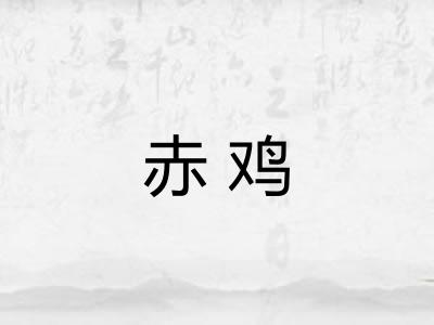 赤鸡